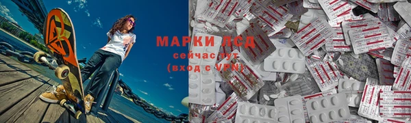 прущие грибы Магас